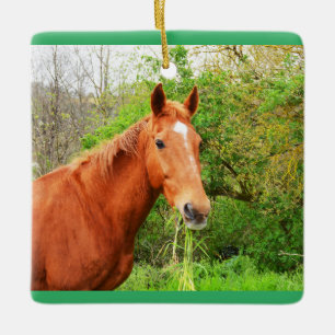 Orion het hongerige paard keramisch ornament