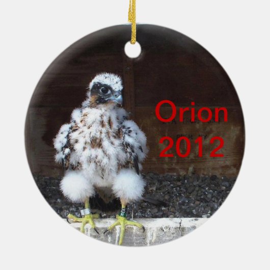 Orion Ornament 2012 (Achterkant)
