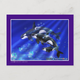 orka briefkaart