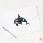 Orka in beweging ronde sticker (Envelop)