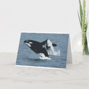 orka kaart