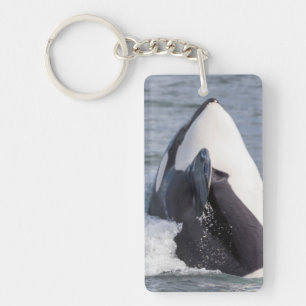 Orka springt uit het water sleutelhanger