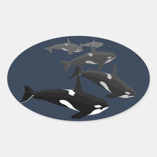 Orka Stickers Killer Whale Stickers (Voorkant)