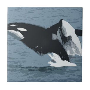 orka tegeltje