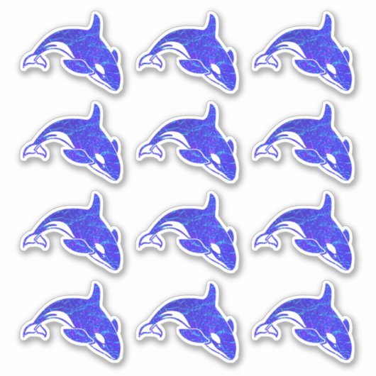Orka Walvis Holografische Water Stickers (Voorkant)