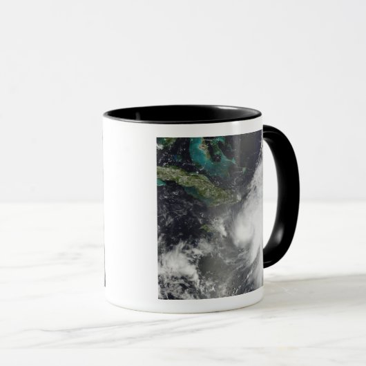 orkaan Ernesto Mok (Voorkant rechts)