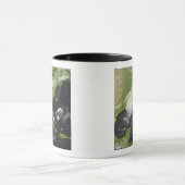 Orkaan Katrina 4 Mok (Midden)