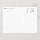 Orkaan Katrina, satelliet-Afbeelding, augustus 200 Briefkaart (Achterkant)