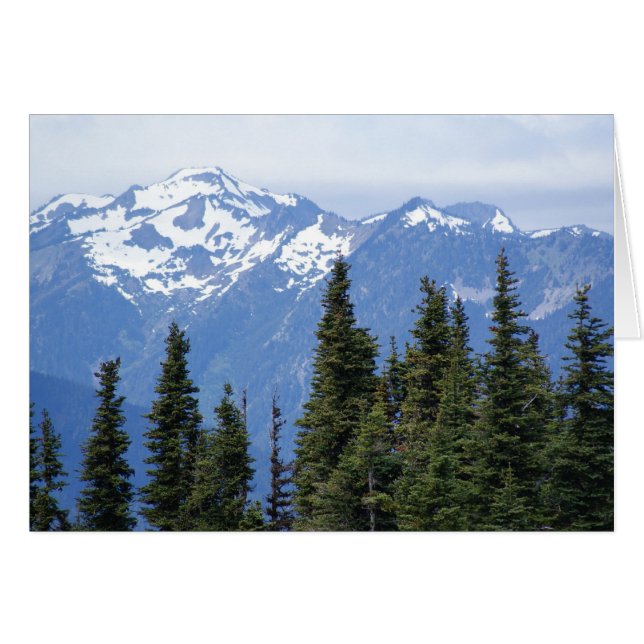 Orkaan Ridge in het Nationaal Park van de Olympisc (Voorkant Horizontaal)