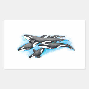 orka's in blauw rechthoekige sticker