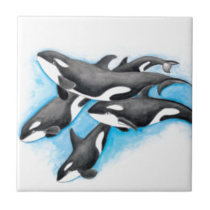 orka's in blauw tegeltje