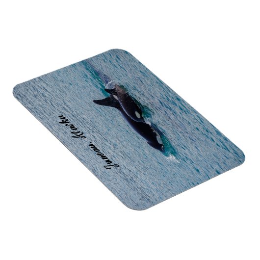 Orka's - Juneau, Alaska - Reissouvenir Magneet (Rechterzijde)