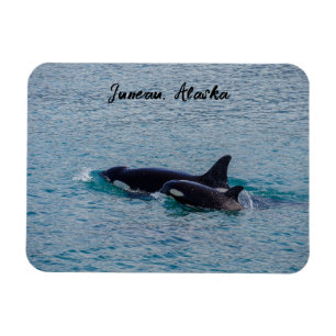 Orka's - Juneau, Alaska - Reissouvenir Magneet