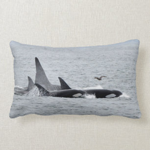 Orka's! Voor en achter! Kussen