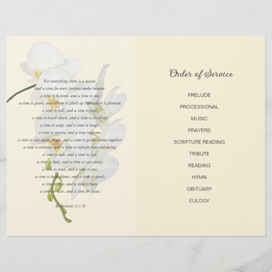 Orkestbegrafenisprogramma Viering van het Leven Flyer (Achterkant)