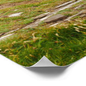 Orkney Poster (Hoek)