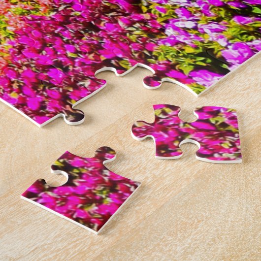 Orlando Florida Jigsaw Puzzle (Côté)