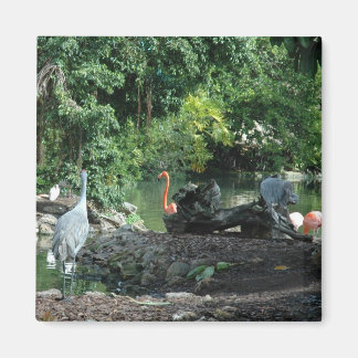 Orlando Florida Magnet Magneet