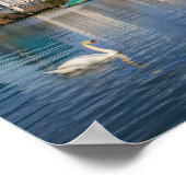 Orlando Florida Silhouette Lake Eola Regenboog & Z Poster (Hoek)