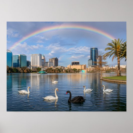 Orlando Florida Silhouette Lake Eola Regenboog & Z Poster (Voorkant)