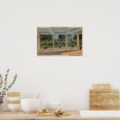 Orlando, Florida - Uitzicht buiten in Florida Poster (Keuken)