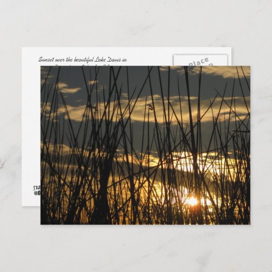 Orlando Sunset Briefkaart (Voorkant / Achterkant)