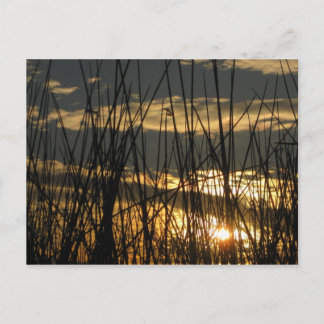 Orlando Sunset Briefkaart