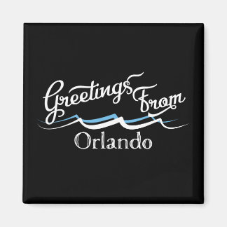 Orlando Water Waves Magneet