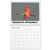 ORLANDO WETLANDS CALENDAR KALENDER (Mar 2026)