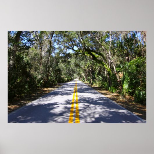 Ormond Beach Loop Poster (Voorkant)