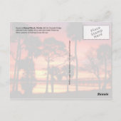 Ormond Beach sunset, Florida Briefkaart (Achterkant)