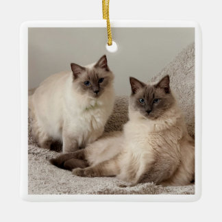 Ornament