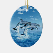 Ornament Air Dolphins (Rechts)