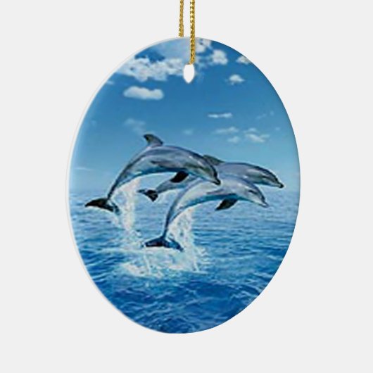 Ornament Air Dolphins (Rechts)