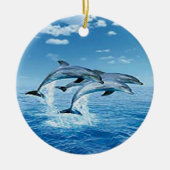 Ornament Air Dolphins (Voorkant)