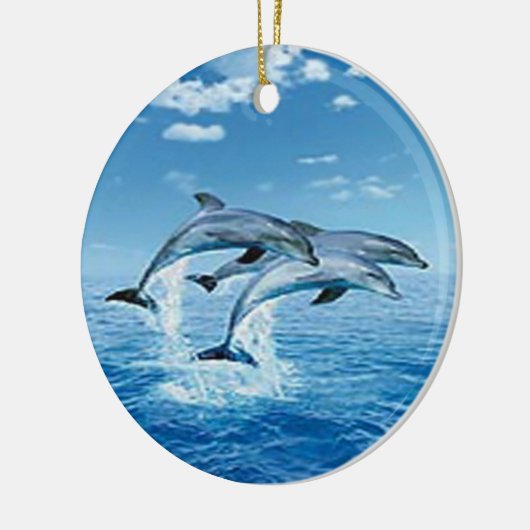 Ornament Air Dolphins (Links)