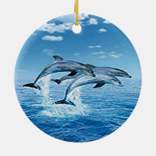 Ornament Air Dolphins (Achterkant)