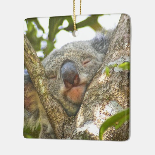 Ornament Ceramic Koala (Links)