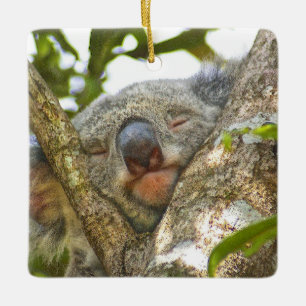 Ornament Ceramic Koala