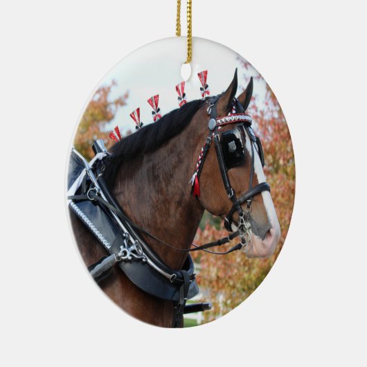 Ornament Clydesdal (Rechts)