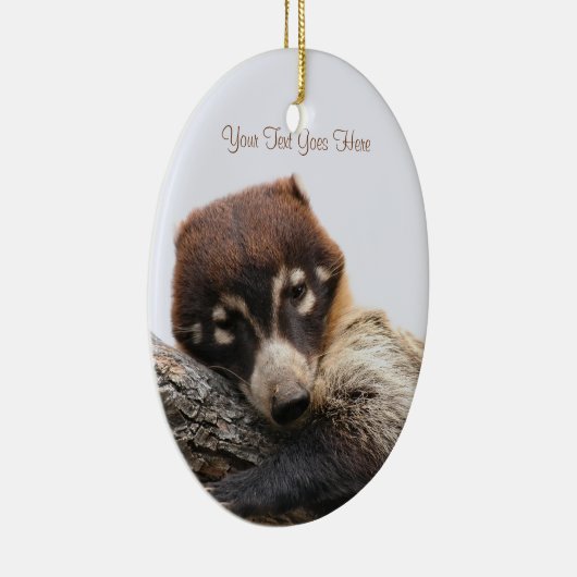 Ornament: Coatimundi #4 (Ovaal) Keramisch Ornament (Rechts)