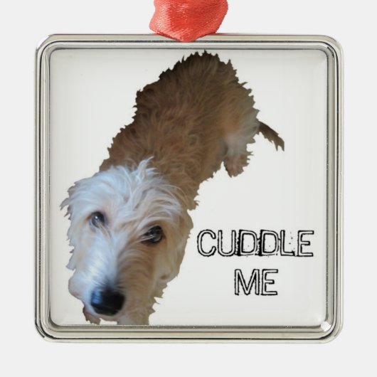 Ornament "CUDDLE ME" van de waanzinnige hond (Voorkant)