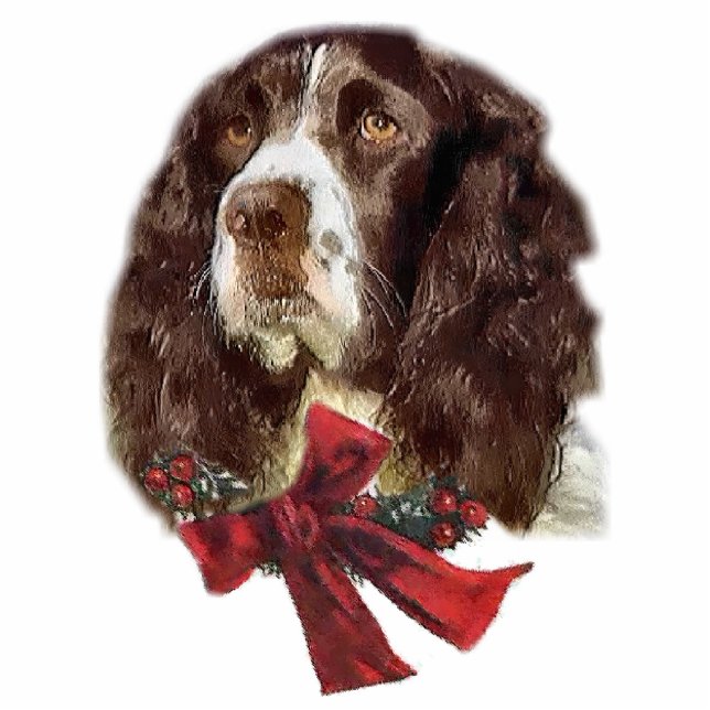 Ornament Engelse kerstcadeaus met Springer Spaniel Fotobeeldje Ornament (Voorkant)