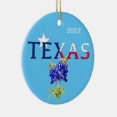 Ornament in het centrum van Dallas, Texas en Blueb (Rechts)