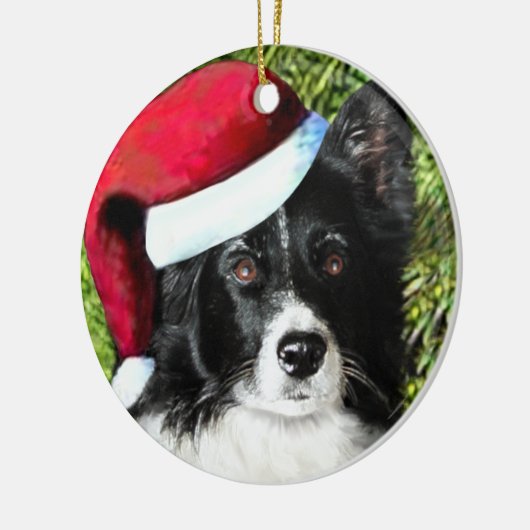 Ornament kerstkerstkerstkerstkerstSanta Hat Border (Links)