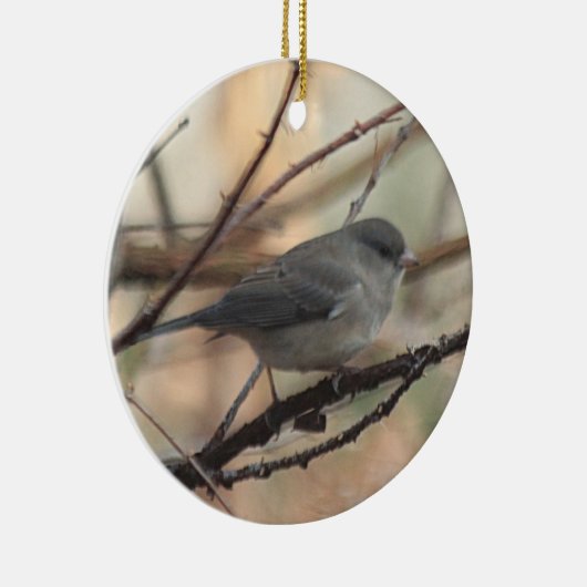 Ornament met Junco (Rechts)