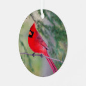 Ornament Noord-Kardinaal (Voorkant links)