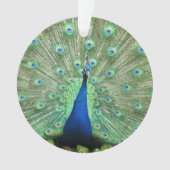 Ornament - Peackock (voorkant)