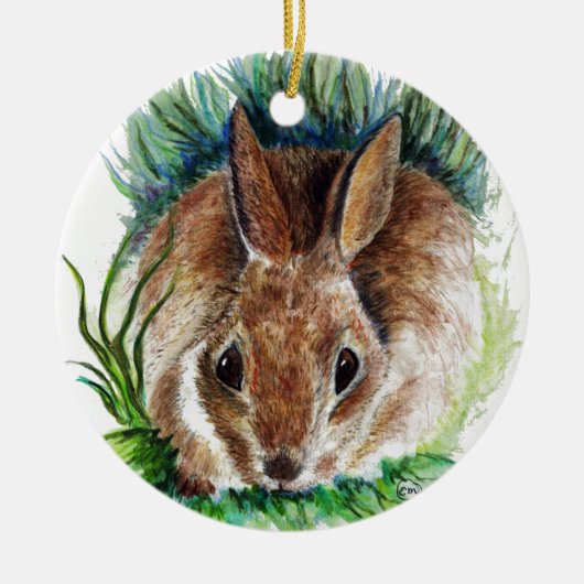 Ornament Rabbit Hiding in Grass, Waterverf Potlood (Voorkant)