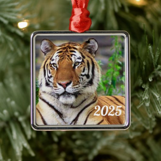 Ornament Siberian Tiger (Boom)